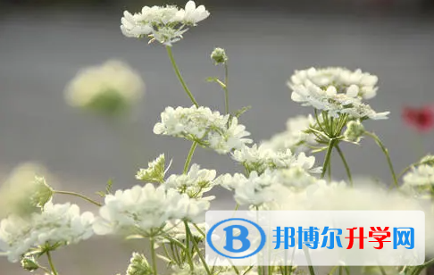 達(dá)州2022年中考志愿能不能修改