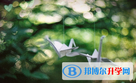 巴中2022年查詢中考成績(jī)