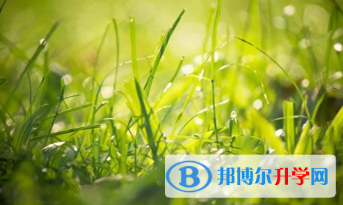 巴中2022年網上查詢中考成績