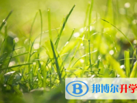 巴中2022年網上查詢中考成績