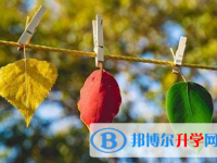 巴中2022年網上查詢中考成績怎么查詢