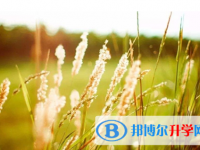 巴中2022年中考報(bào)名查詢