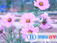 巴中2022年中考查詢(xún)