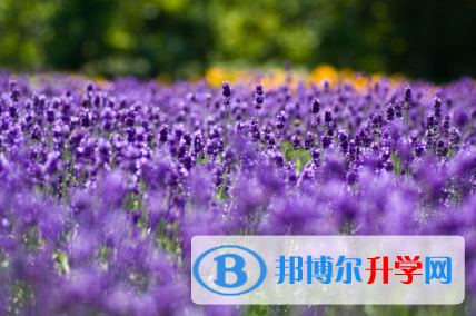 巴中2022年中考查詢電話