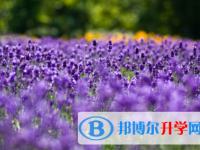 巴中2022年中考查詢(xún)電話