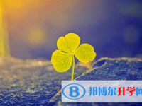巴中2022年中考查詢(xún)網(wǎng)址