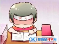 雅安2022年查詢(xún)中考成績(jī)上哪個(gè)網(wǎng)站