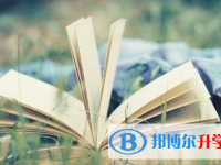 巴中2022年中考網絡服務應用平臺