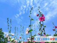 雅安2022年中考成績?nèi)绾尾樵? /><b>雅安2022年中考成績?nèi)绾尾樵?/b><span>2022-03-11 10:53</span><p>中考成績對學(xué)生來說是非常重要的，一個(gè)優(yōu)秀的學(xué)生更希望自己能夠考上重點(diǎn)的高中。中考成績公布后有很多途徑進(jìn)行查詢，學(xué)生其實(shí)不</p></a></h3></li>
            <li><h3><a href=