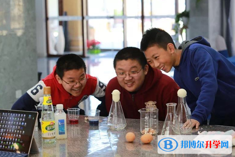  北京卓爾大方學校2023年入學條件