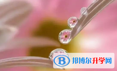 巴中2022年中考報(bào)考學(xué)校名單