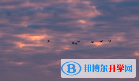 巴中2022年中考報名服務平臺