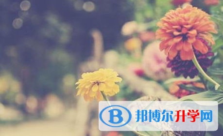 巴中2022年中考升學率
