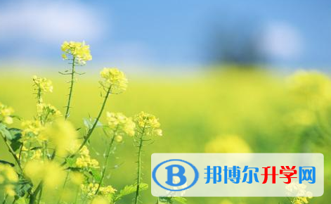 巴中2022年中考體考標(biāo)準(zhǔn)
