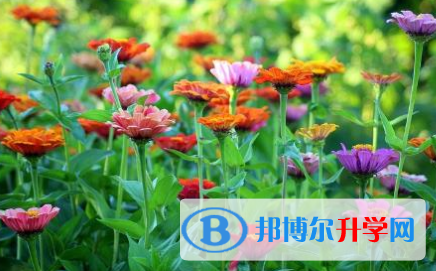 巴中2022年中考應對策略