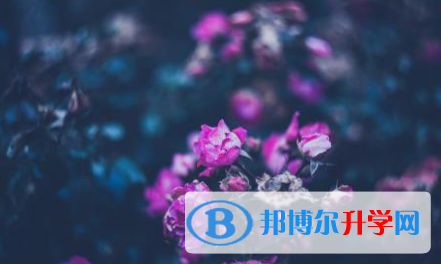 巴中2022年中考招生學(xué)校