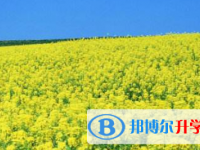 巴中2022年中考沒考好可以復讀嗎