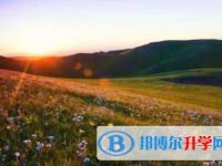 巴中2022年中考沒有被學校錄取咋辦