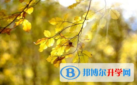 巴中2022年中考緊張怎么辦