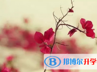 巴中2022年怎樣中考正常發揮