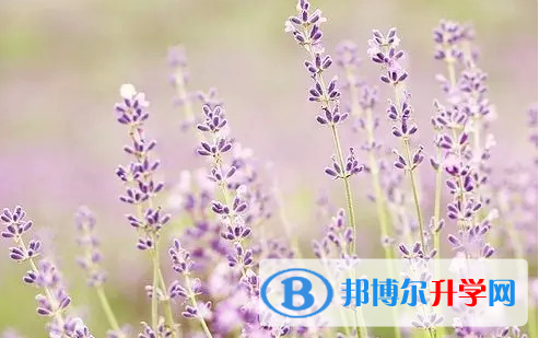 巴中2022年這次中考多久結束