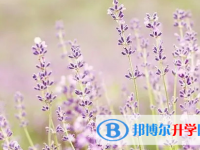 巴中2022年這次中考多久結束