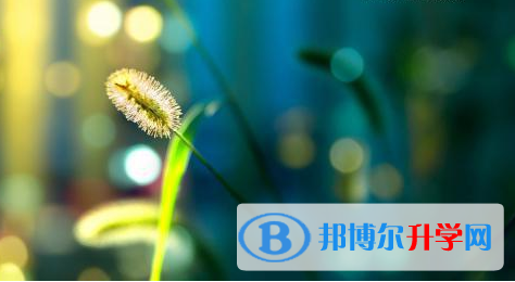 巴中2022年沒有學籍可以參加中考嗎