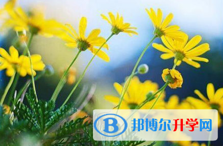 巴中2022年中考報(bào)名網(wǎng)站登錄