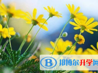 巴中2022年中考報名網站登錄