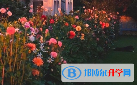 巴中2022年中考報名網站是什么