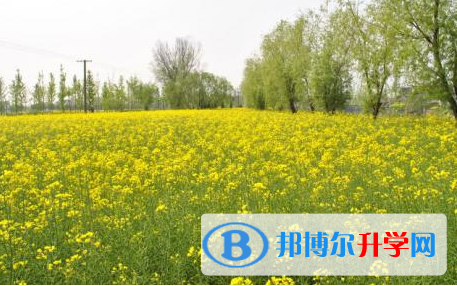巴中2022年中考報名系統網址