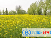巴中2022年中考報名系統網址