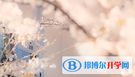 巴中2022年中考模擬填報(bào)志愿