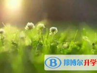 巴中2022年中考調劑志愿
