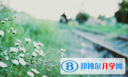 巴中2022年中考調劑志愿是什么意思