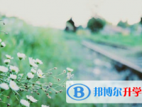 巴中2022年中考調劑志愿是什么意思