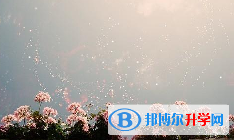 阿壩2022年如何查詢中考錄取名單