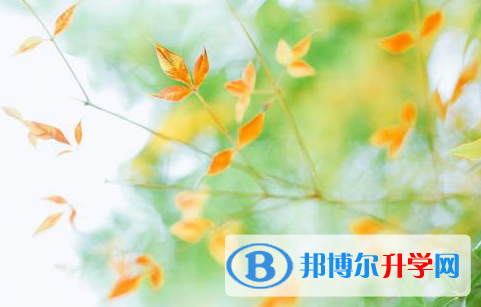 阿壩2022年中考成績查詢入口