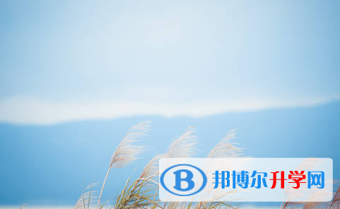 阿壩2022年中考成績一般讀什么學校