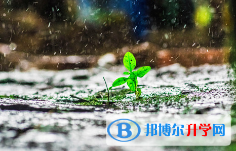 阿壩2022年中考體育成績對照表