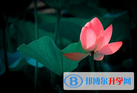 阿壩2022年中考體育考試成績查詢