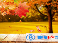 阿壩2022年中考查詢網(wǎng)