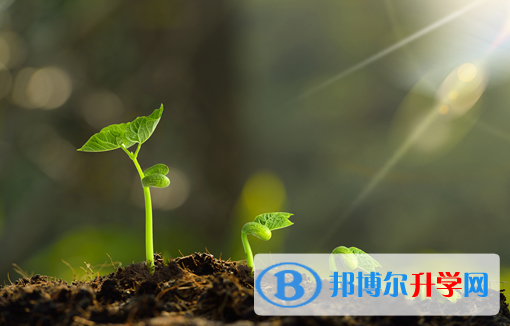 阿壩2022年中考服務(wù)平臺