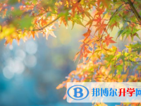 阿壩2022年中考錄取規劃線