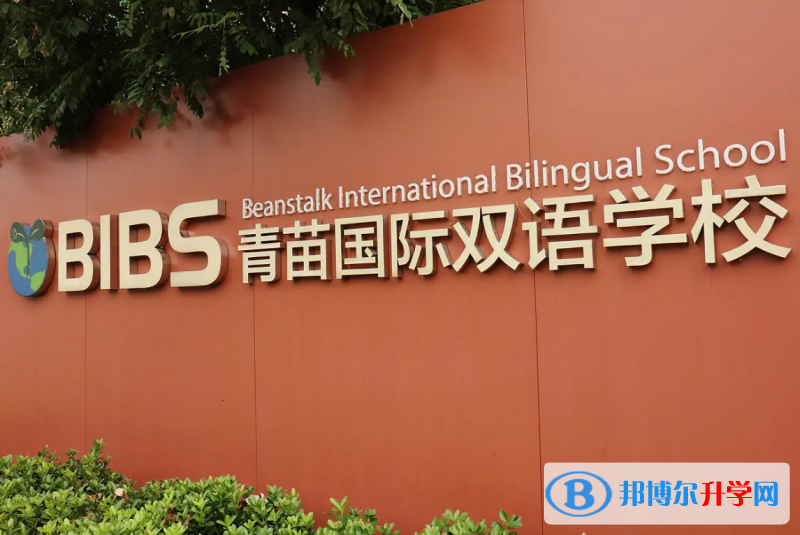  北京青苗國際雙語學校2023年入學條件