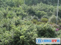 達(dá)州市新世紀(jì)學(xué)校怎么樣、好不好