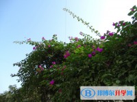 達(dá)州市新世紀(jì)學(xué)校2025年學(xué)費(fèi)、收費(fèi)多少
