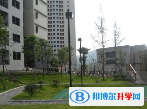 成都市金牛中學(xué)校2022年招生代碼