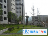 成都市金牛中學校2025年招生代碼