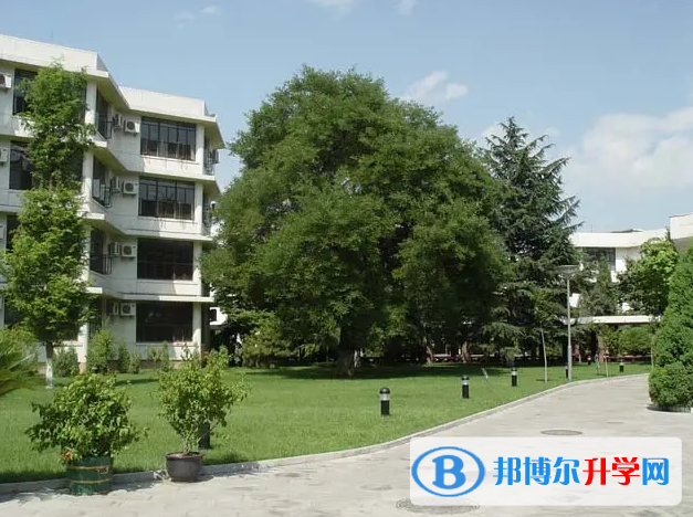  北京四中國際校區2023年入學考試